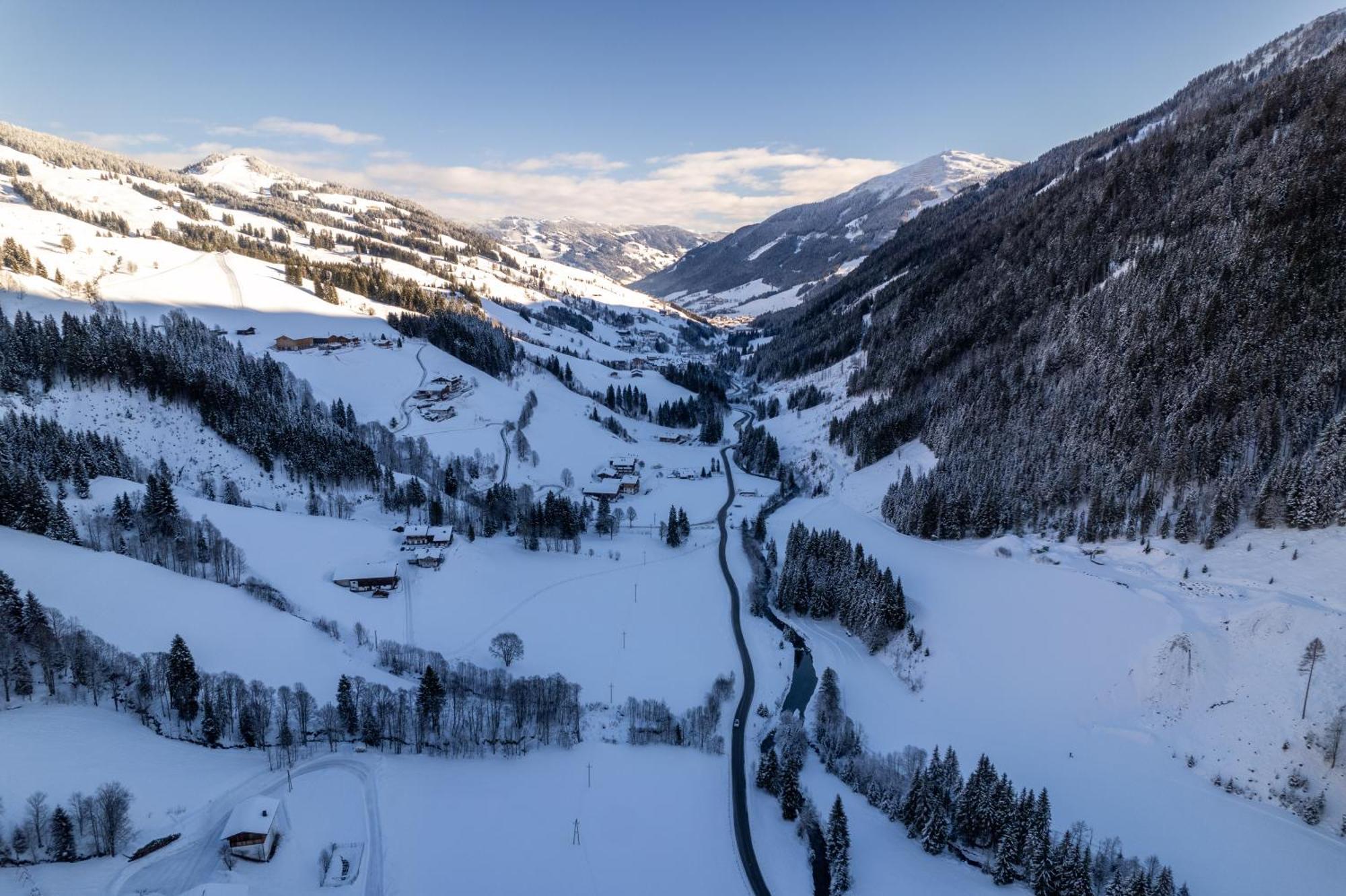 Lavender Hill - Summer Holiday&ski Chalet/villa